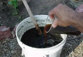 تصویر 2 از راهنمای خرید کود مرغی غنی از نیتروژن و مواد مغذی + قیمت عالی